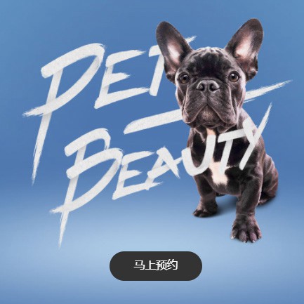 临潭宠物中心小程序开发