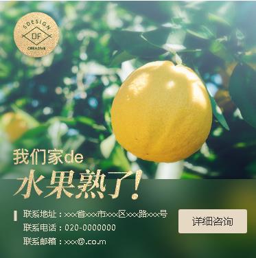 临潭果园果林小程序开发